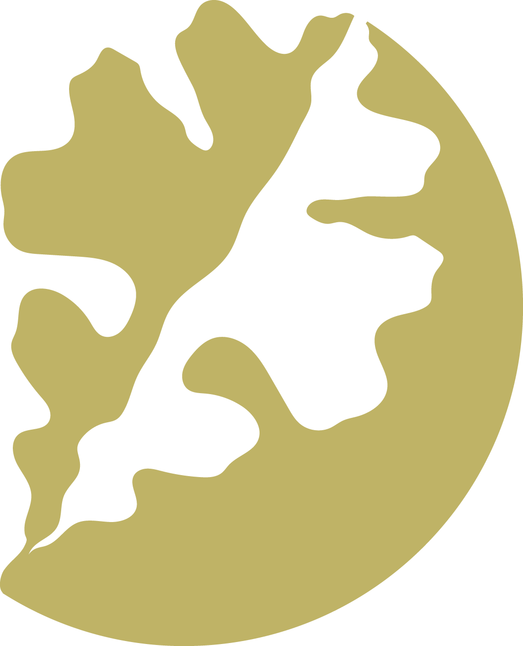 East Oak leaf logo yellow